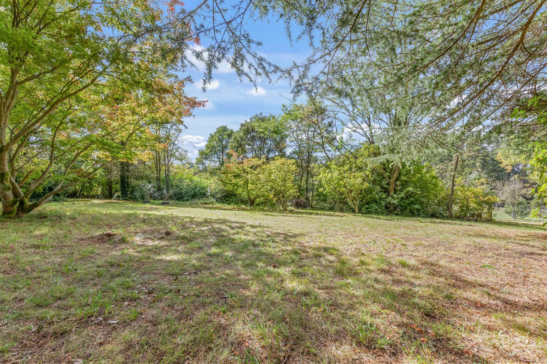 1231 Sunny Corner Road, Sunny Corner For Sale by Farmbuy.com - image 14