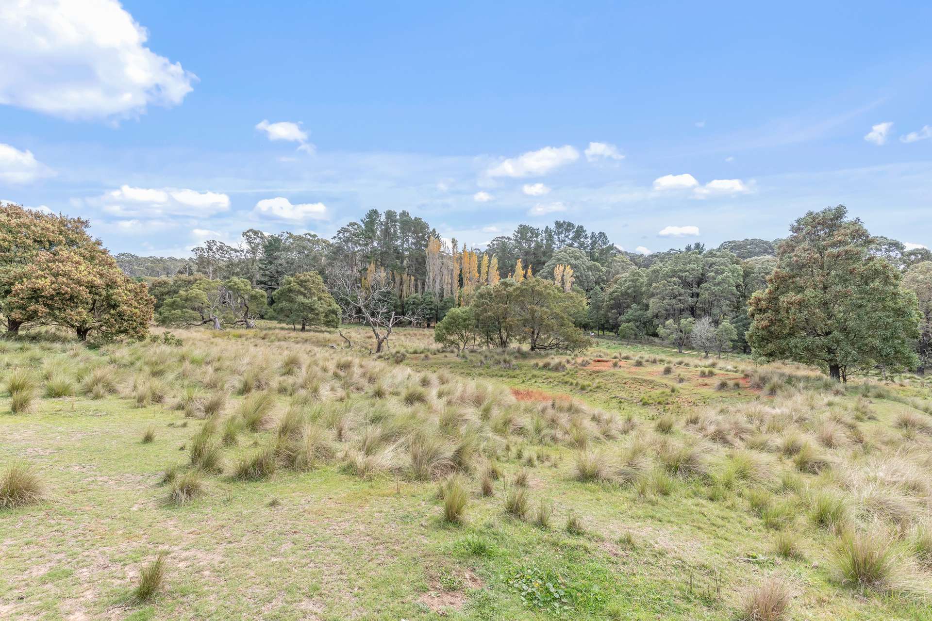 1231 Sunny Corner Road, Sunny Corner For Sale by Farmbuy.com - image 16