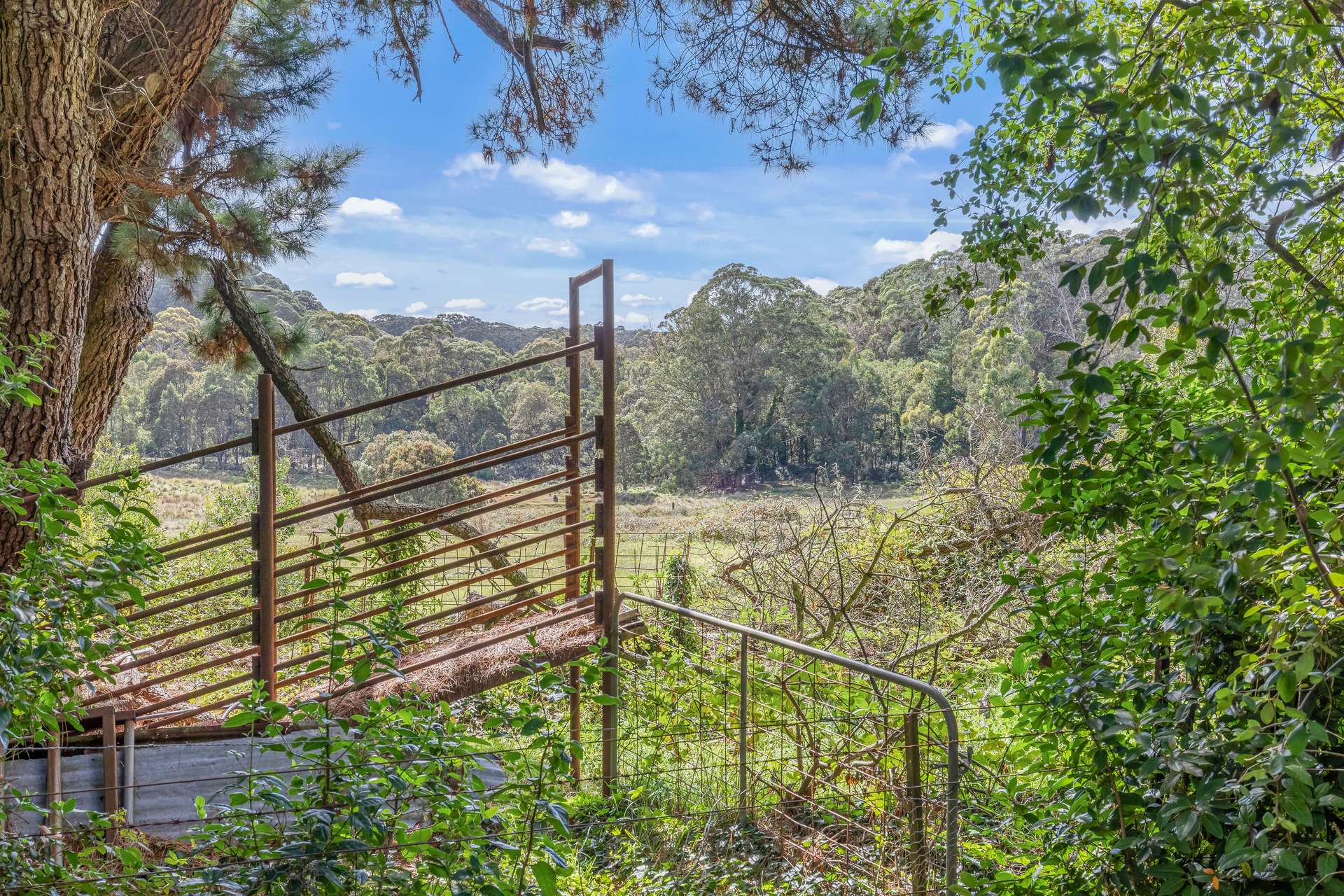 1231 Sunny Corner Road, Sunny Corner For Sale by Farmbuy.com - image 18