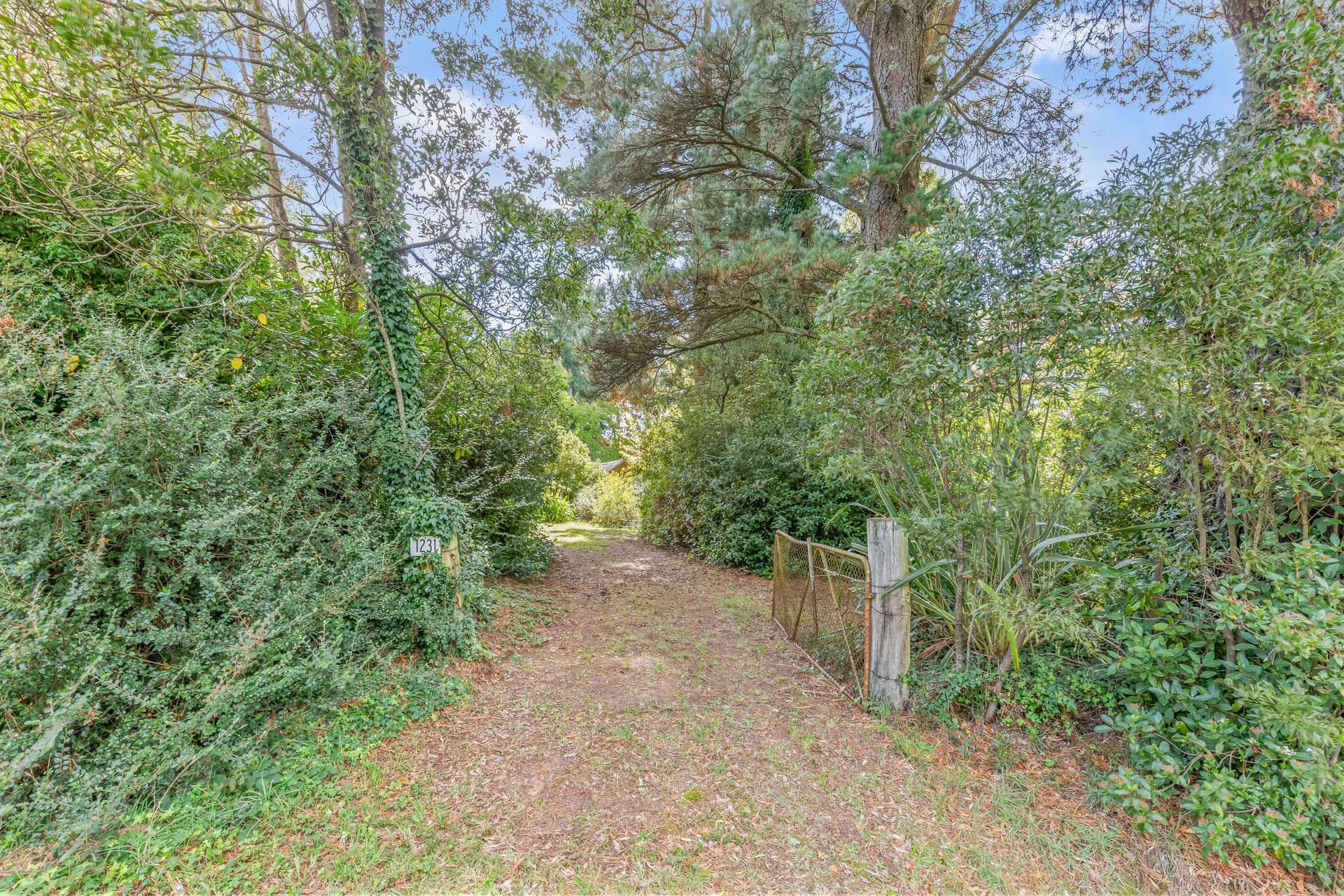 1231 Sunny Corner Road, Sunny Corner For Sale by Farmbuy.com - image 12
