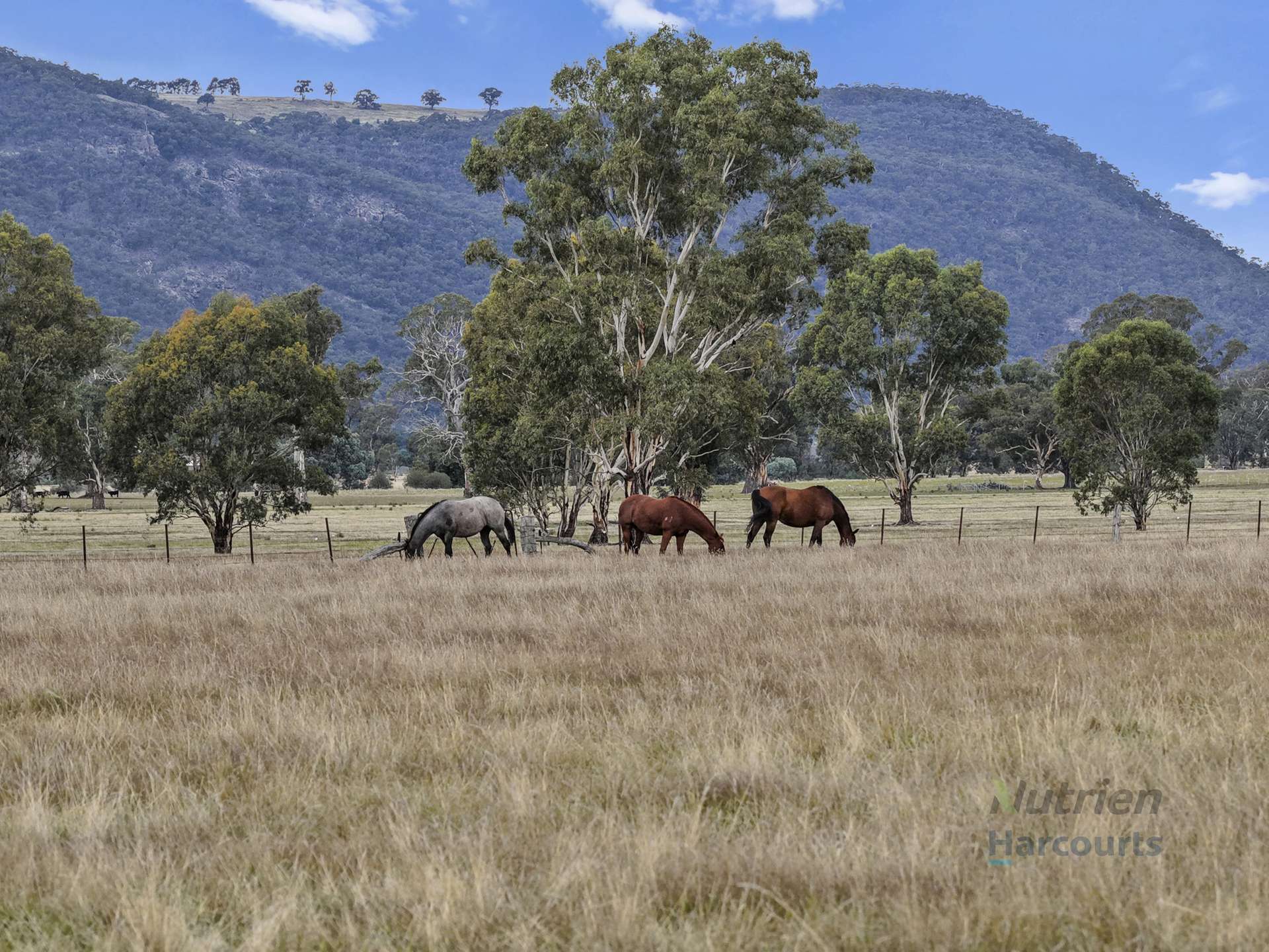 80 Millards  Lane, Euroa For Sale by Farmbuy.com - image 27