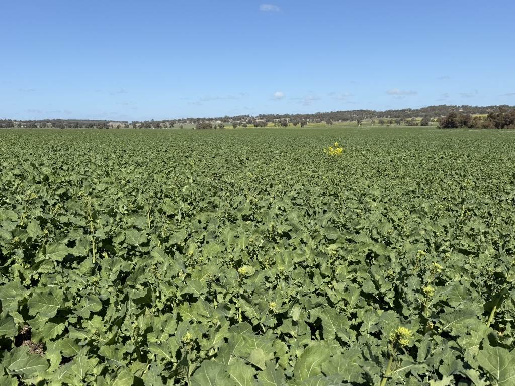 Butchers Road, Dale For Sale by Farmbuy.com - image 20