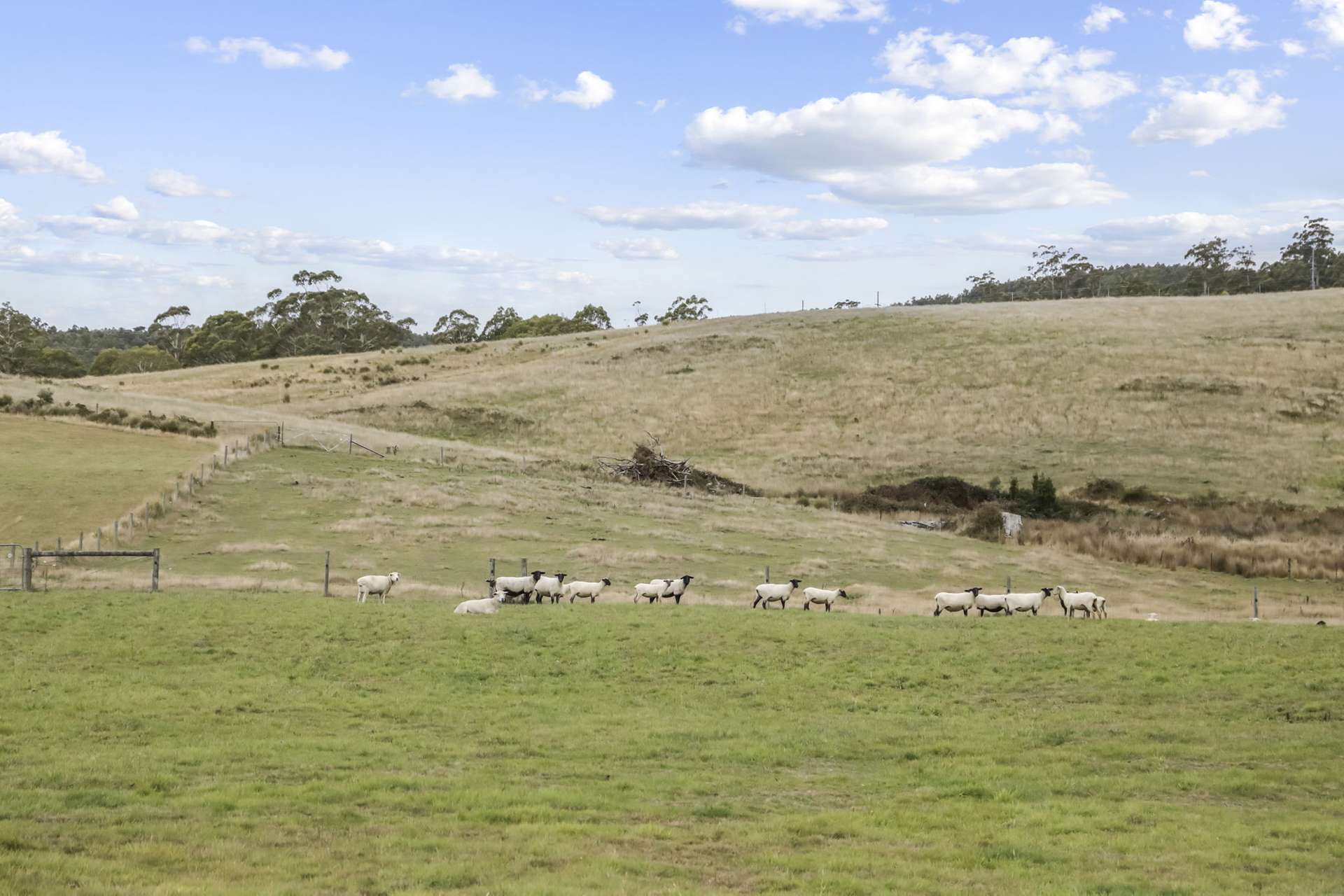 38485 Tasman Highway, Targa For Sale by Farmbuy.com - image 34