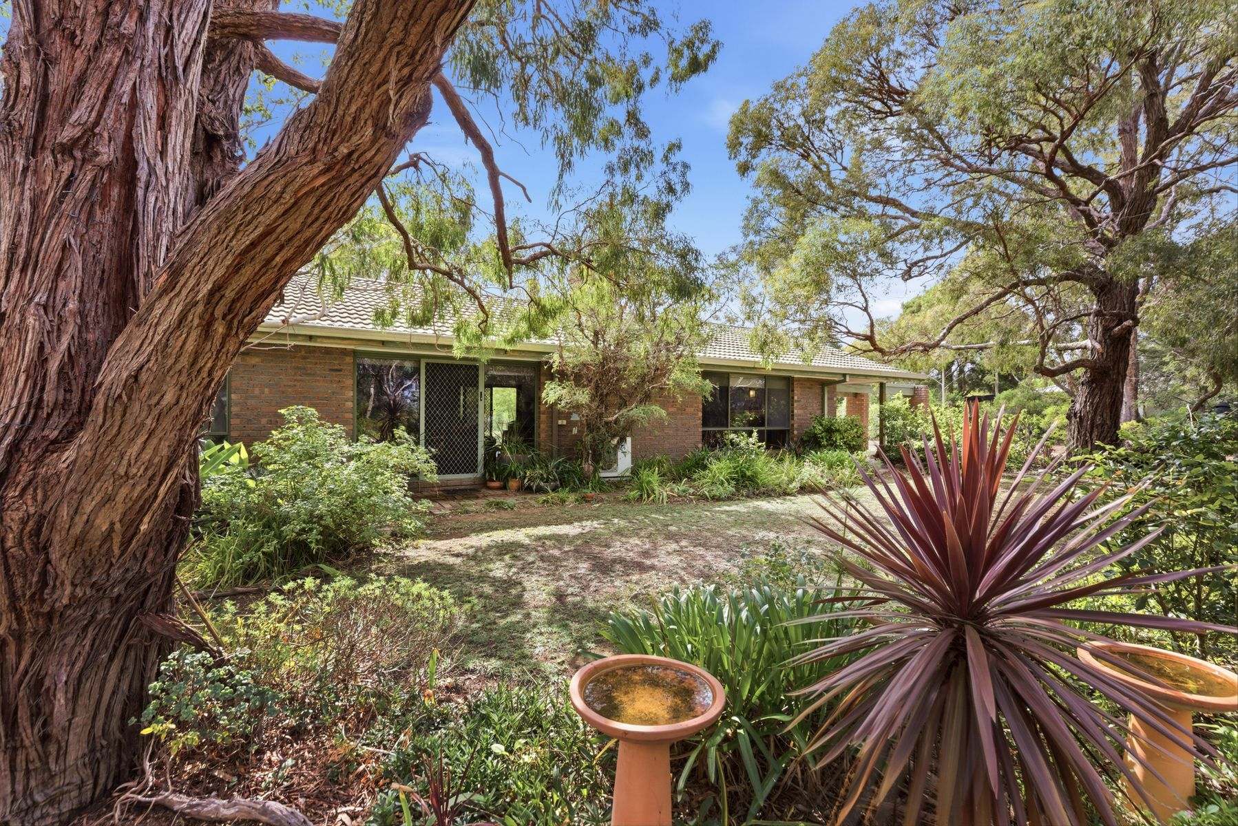36 Belvoir Park Road, Ravenswood Sold by Farmbuy.com - image 15