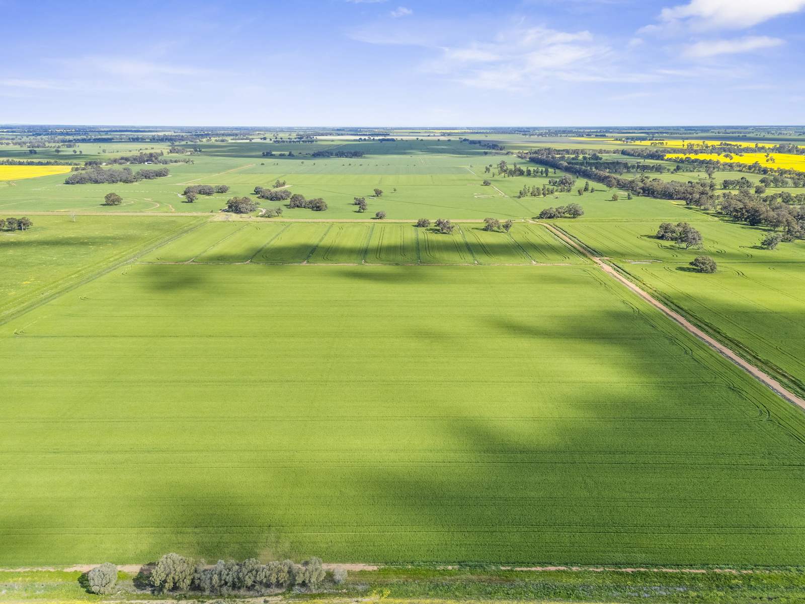 520 Mayrung Road, Finley For Sale by Farmbuy.com - image 9