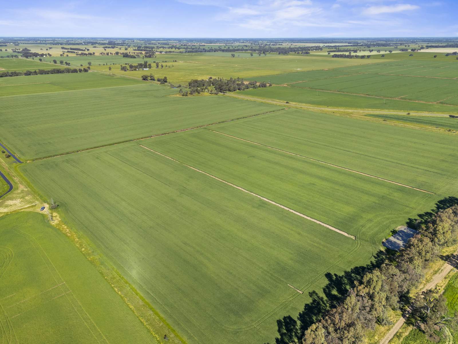 520 Mayrung Road, Finley For Sale by Farmbuy.com - image 10