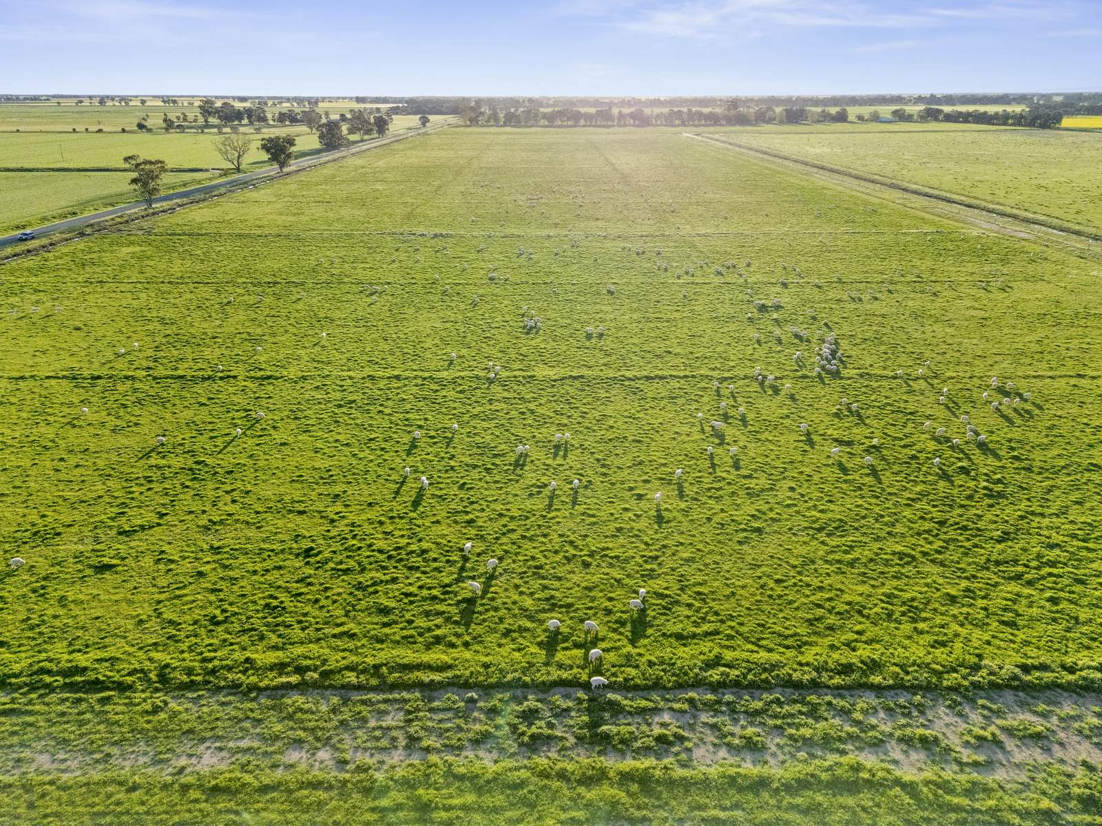 520 Mayrung Road, Finley For Sale by Farmbuy.com - image 11