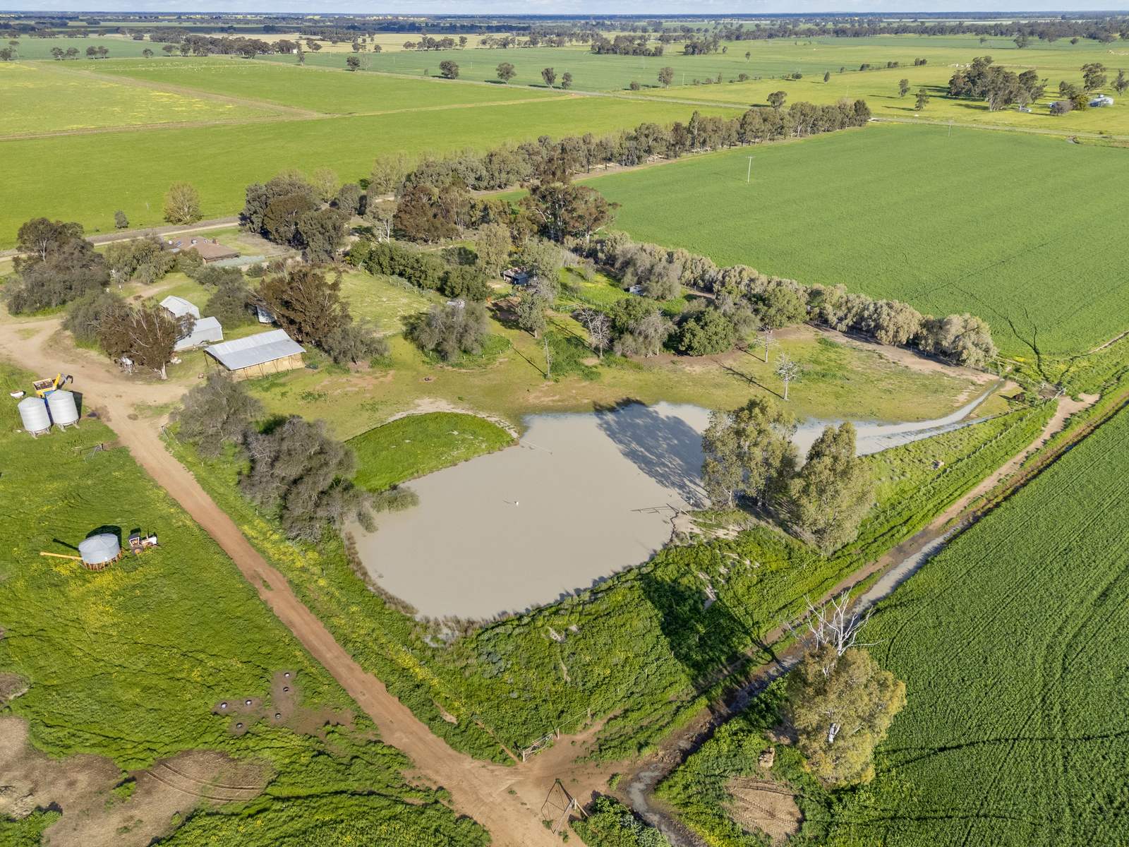 520 Mayrung Road, Finley For Sale by Farmbuy.com - image 7