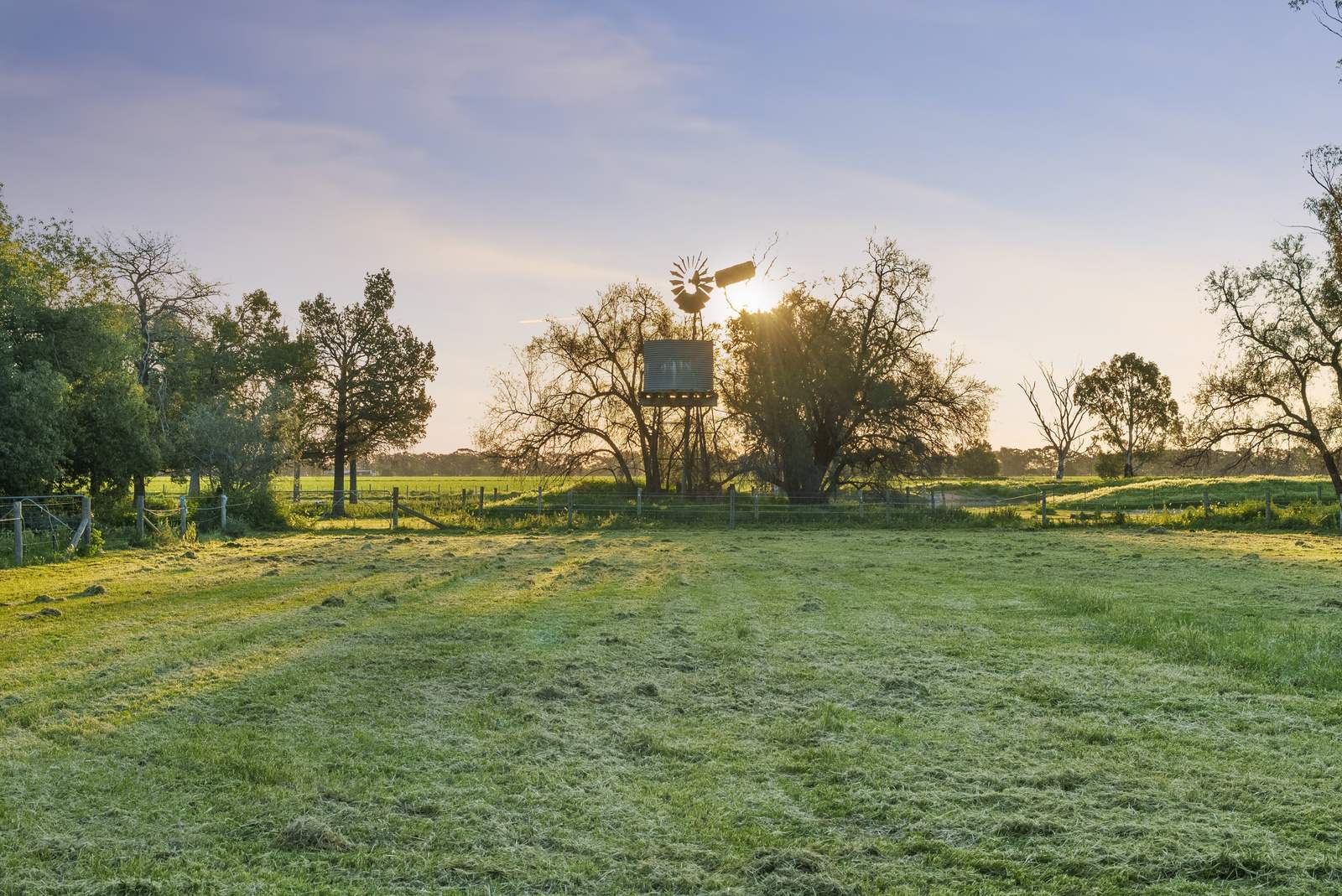 520 Mayrung Road, Finley For Sale by Farmbuy.com - image 12