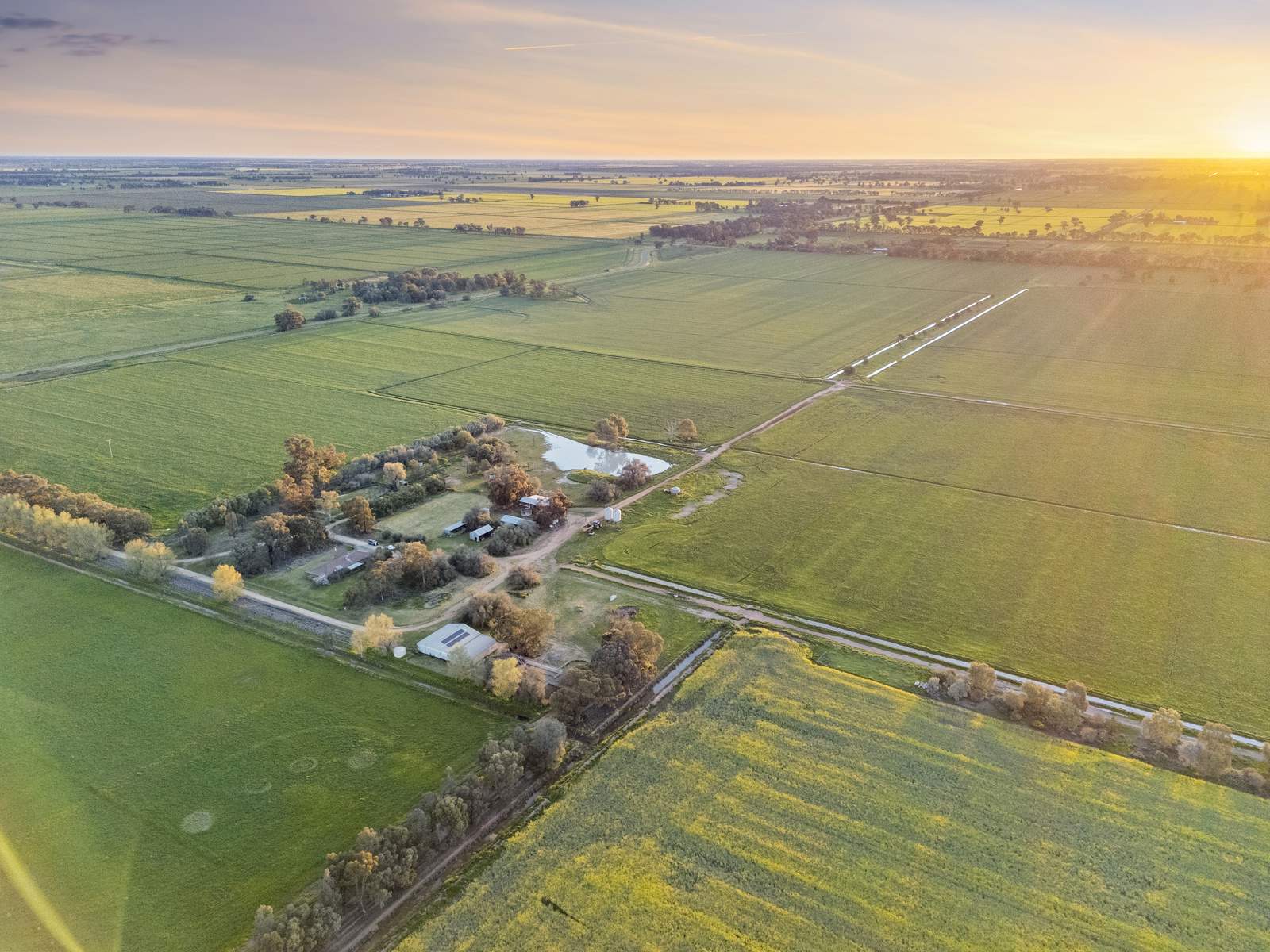 520 Mayrung Road, Finley For Sale by Farmbuy.com - image 3