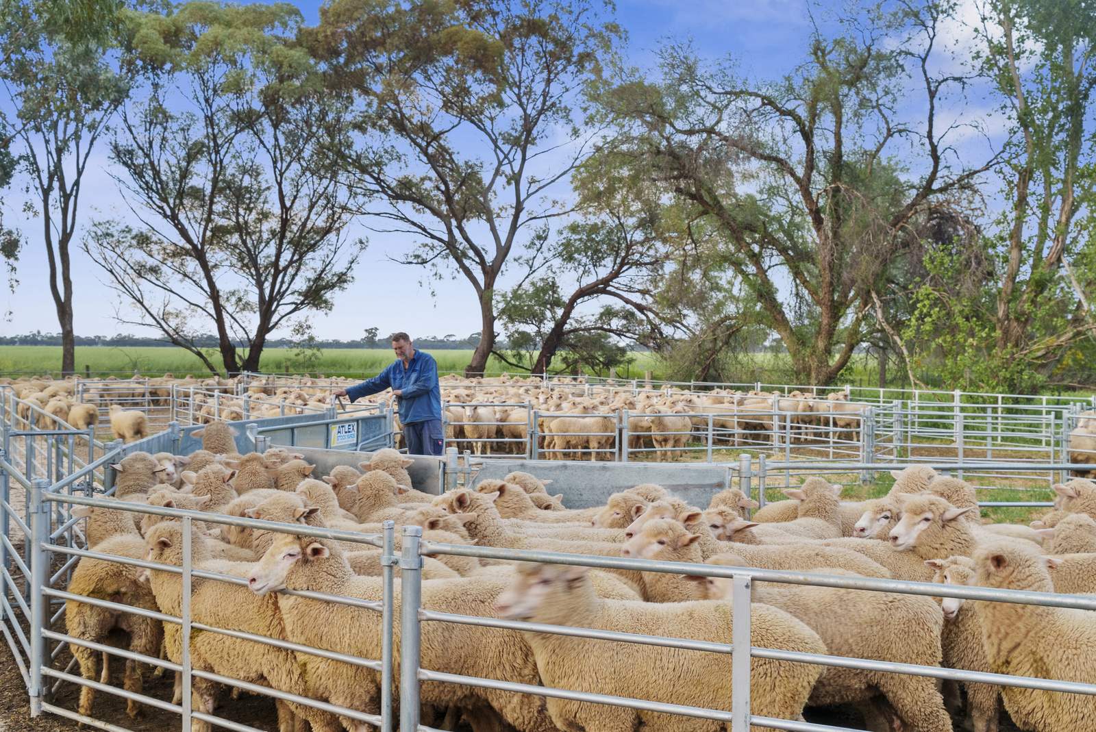 520 Mayrung Road, Finley For Sale by Farmbuy.com - image 24