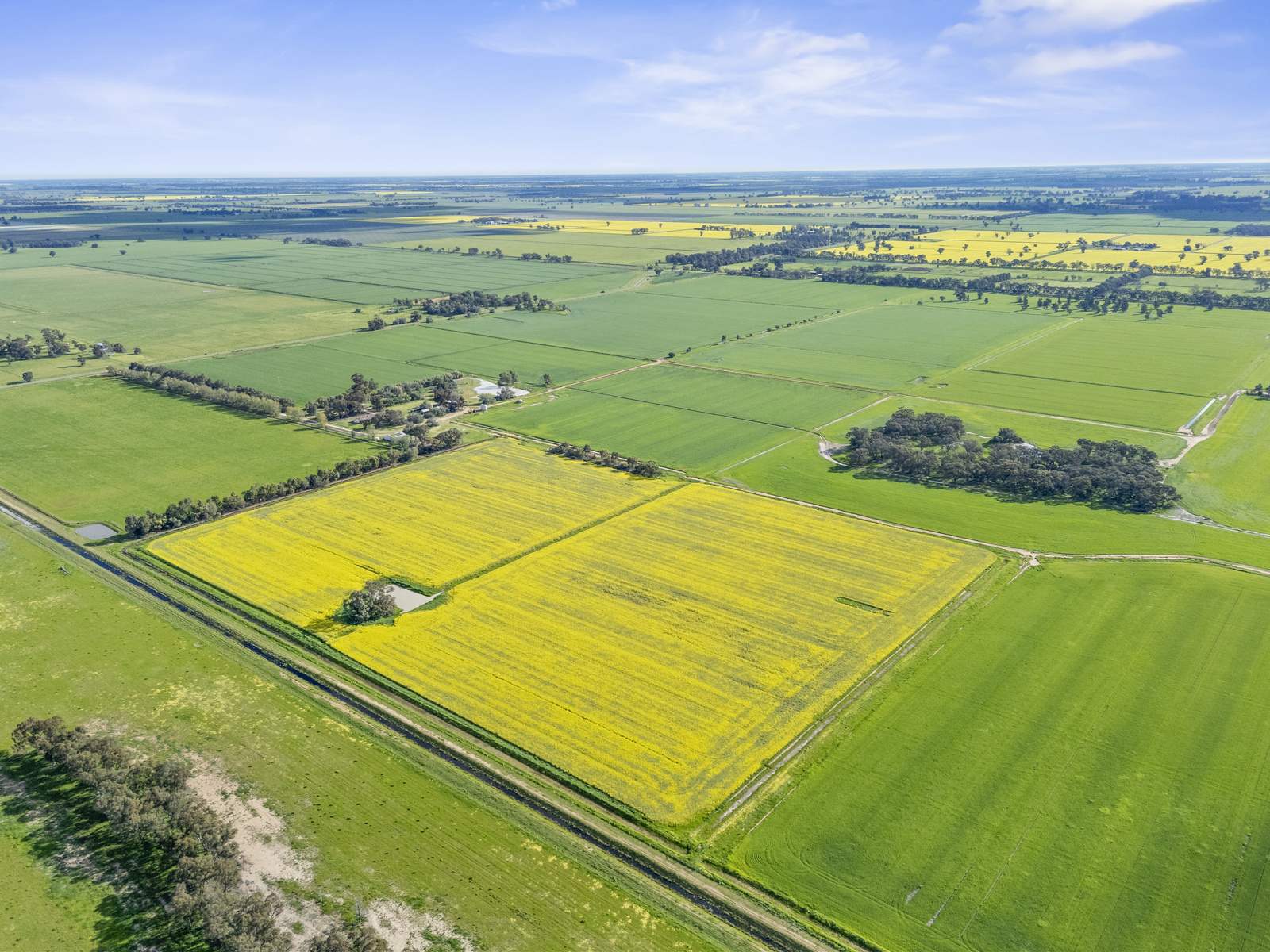 520 Mayrung Road, Finley For Sale by Farmbuy.com - image 15