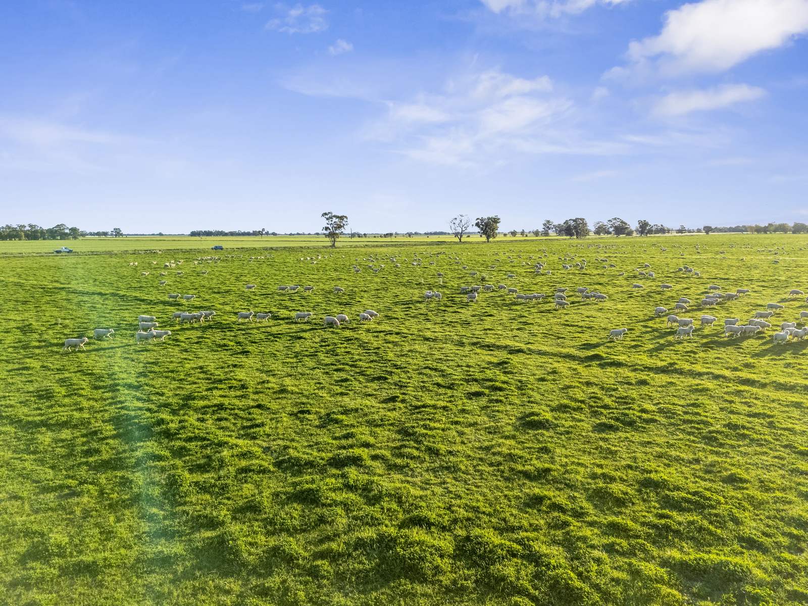 520 Mayrung Road, Finley For Sale by Farmbuy.com - image 8