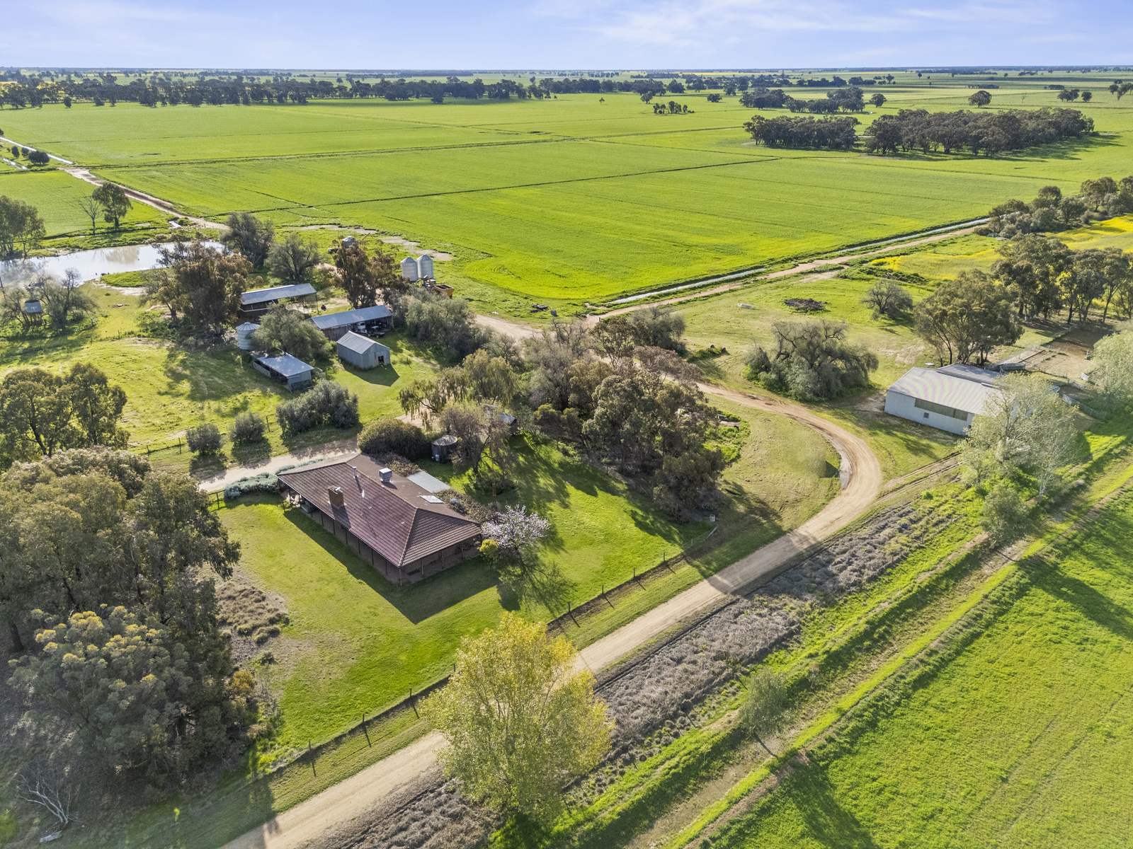 520 Mayrung Road, Finley For Sale by Farmbuy.com - image 5