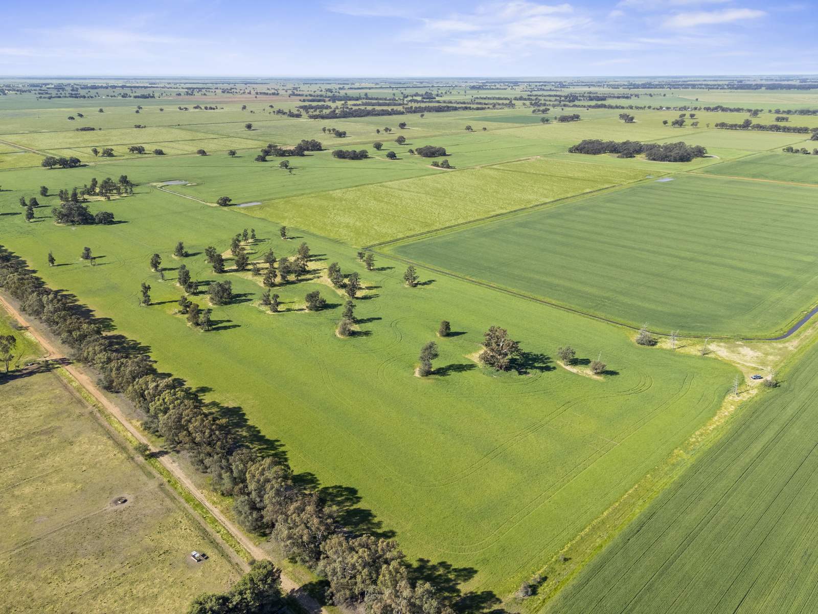 520 Mayrung Road, Finley For Sale by Farmbuy.com - image 17