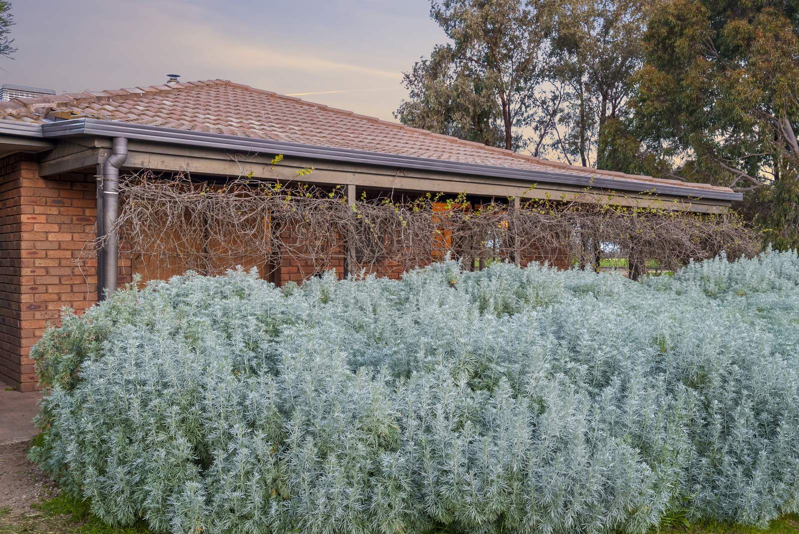 520 Mayrung Road, Finley For Sale by Farmbuy.com - image 29