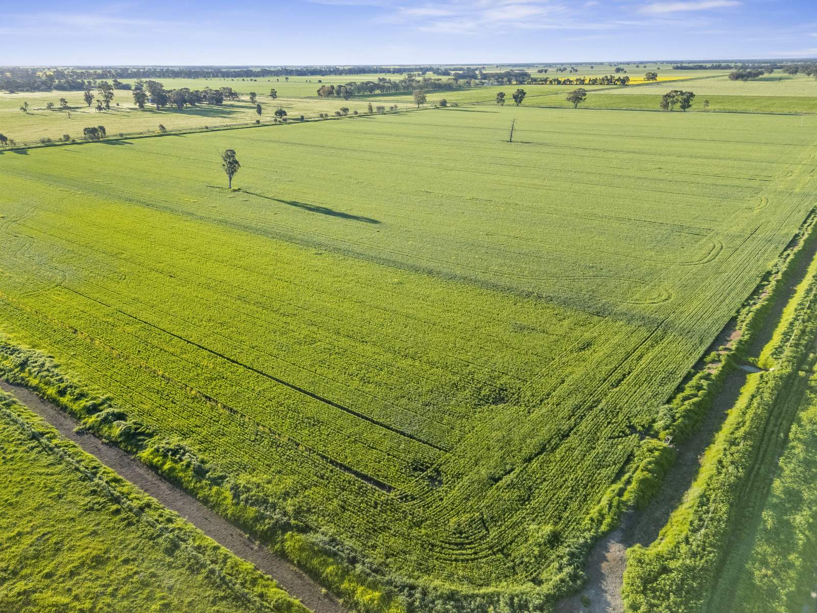520 Mayrung Road, Finley For Sale by Farmbuy.com - image 16