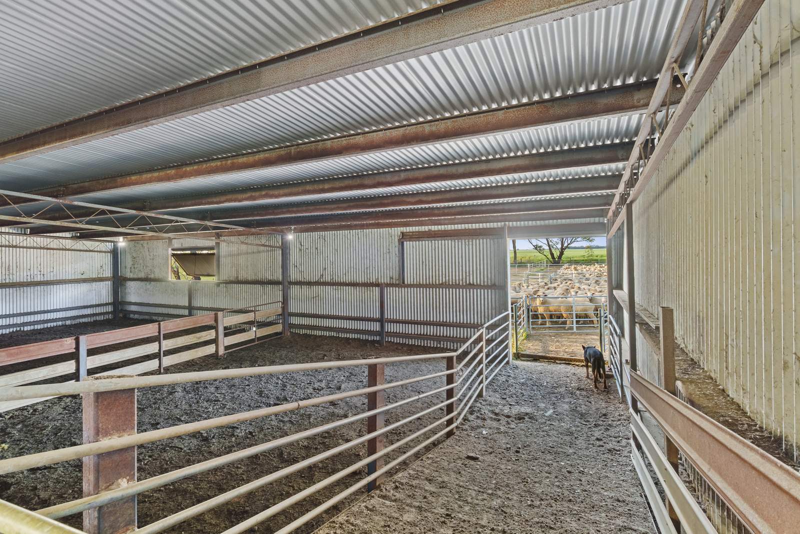 520 Mayrung Road, Finley For Sale by Farmbuy.com - image 22