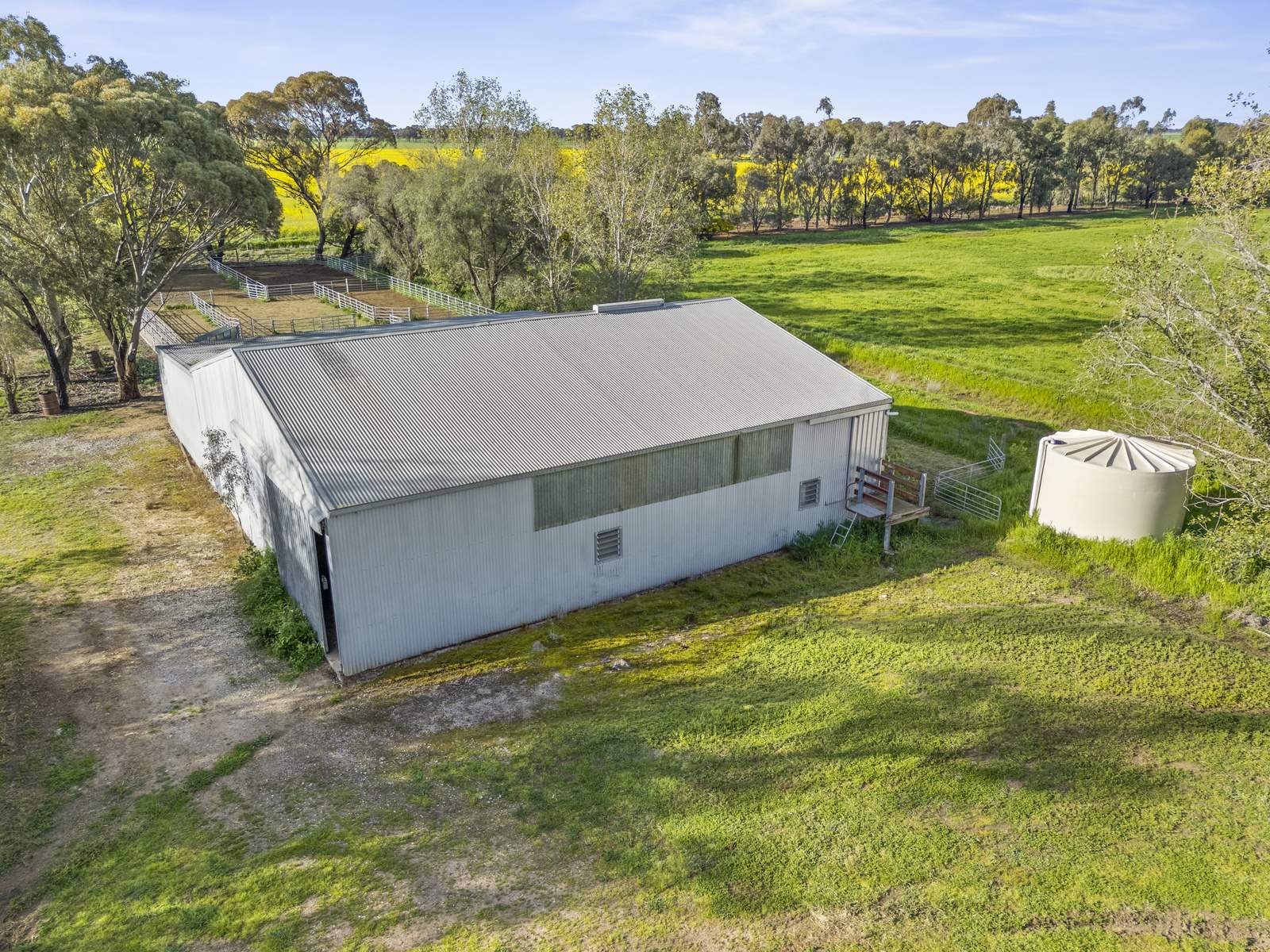 520 Mayrung Road, Finley For Sale by Farmbuy.com - image 19