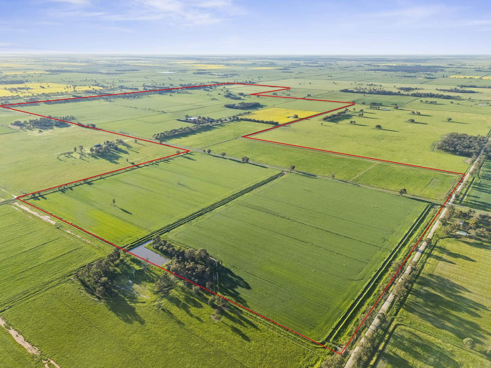 520 Mayrung Road, Finley For Sale by Farmbuy.com - image 1