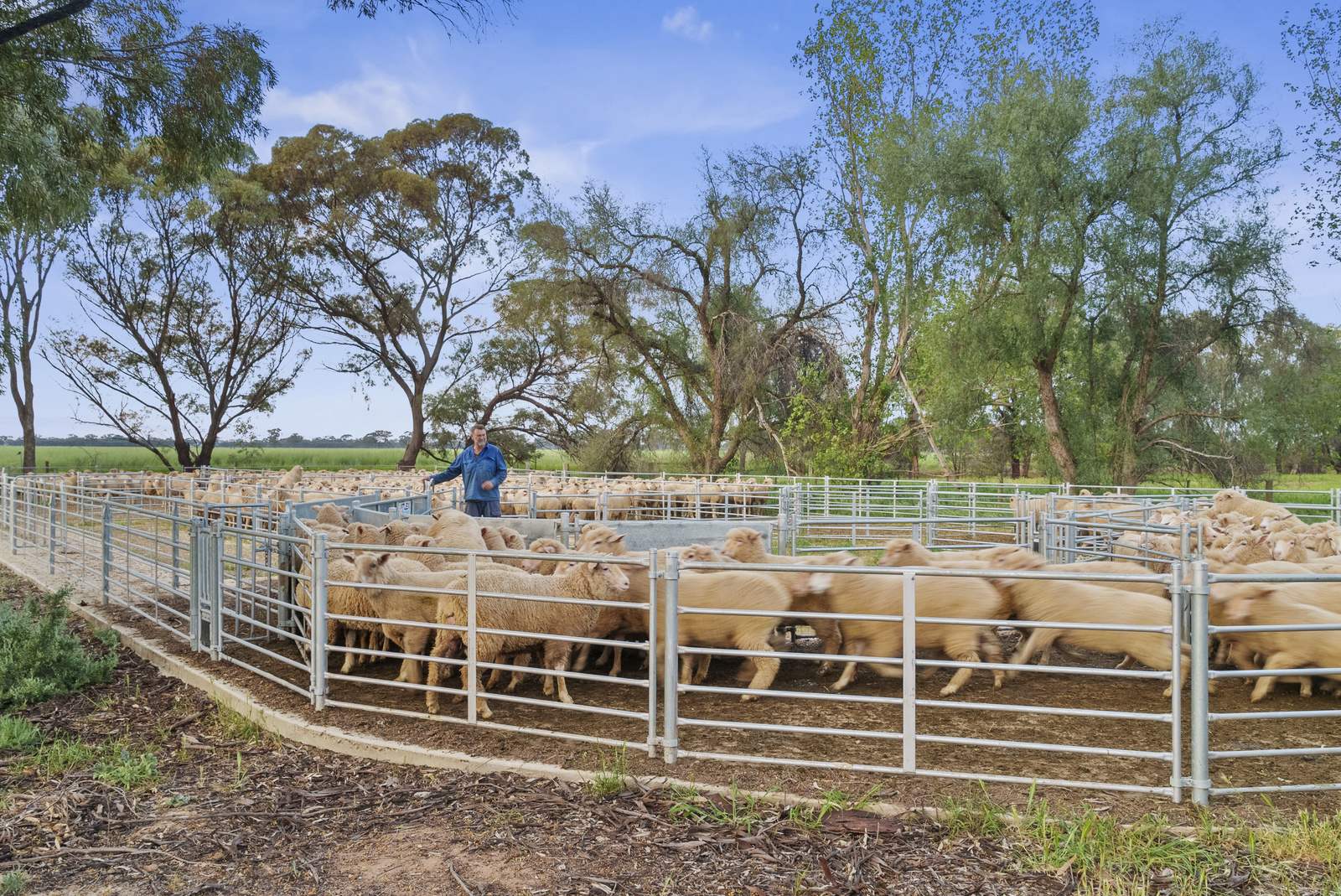520 Mayrung Road, Finley For Sale by Farmbuy.com - image 23