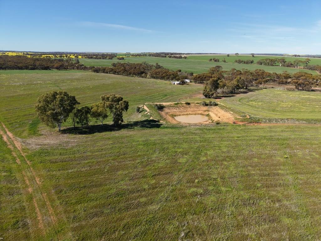 Lot 75 Rickeys Road, Beverley For Sale by Farmbuy.com - image 9