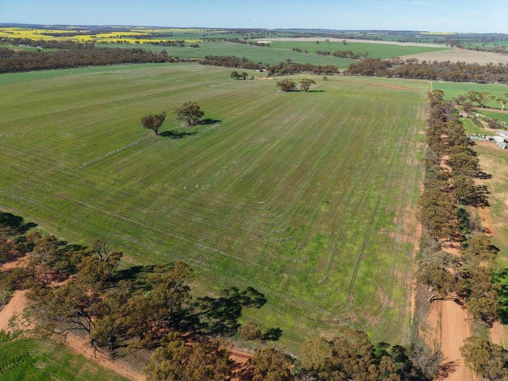 Lot 75 Rickeys Road, Beverley For Sale by Farmbuy.com - image 8