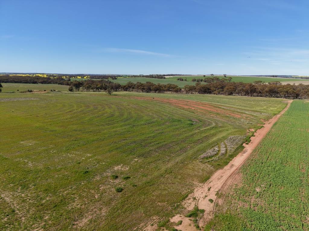 Lot 75 Rickeys Road, Beverley For Sale by Farmbuy.com - image 13