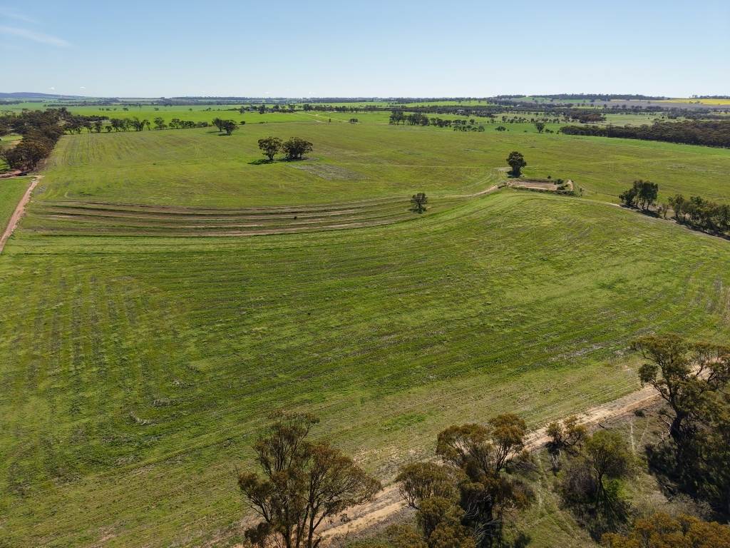 Lot 75 Rickeys Road, Beverley For Sale by Farmbuy.com - image 6