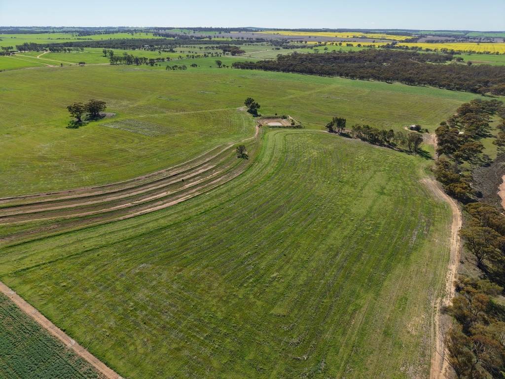 Lot 75 Rickeys Road, Beverley For Sale by Farmbuy.com - image 7