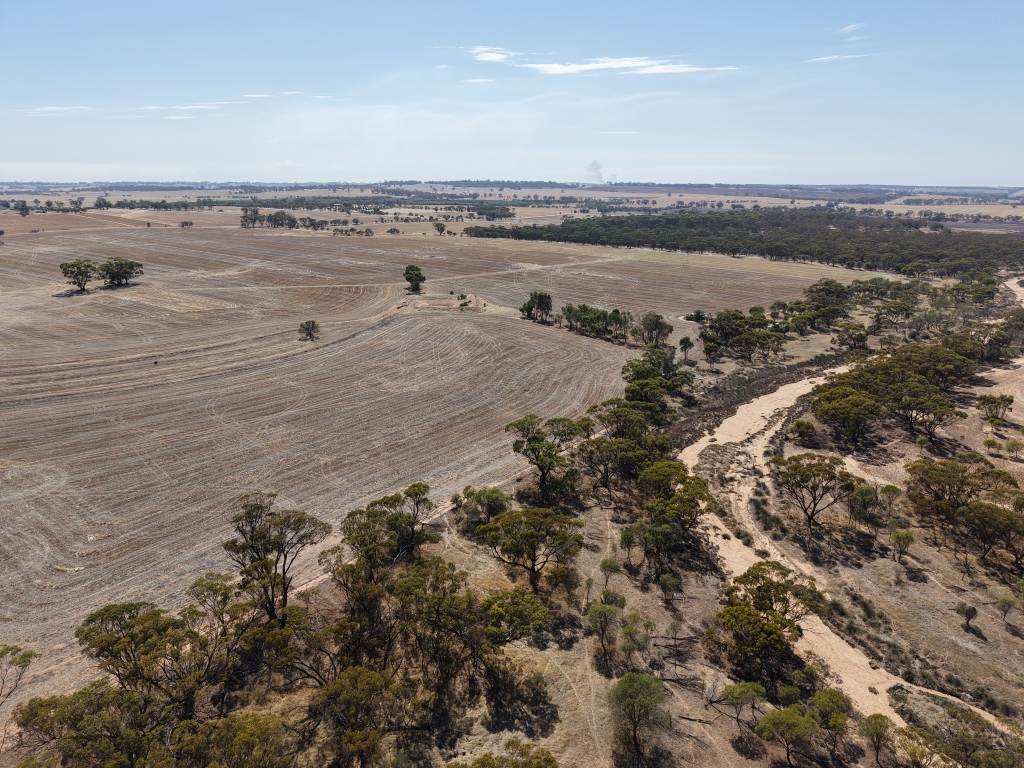 Lot 75 Rickeys Road, Beverley For Sale by Farmbuy.com - image 12