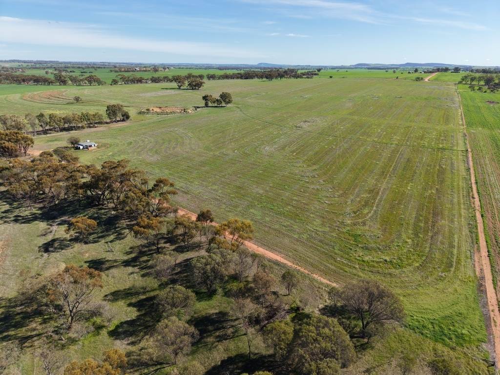 Lot 75 Rickeys Road, Beverley For Sale by Farmbuy.com - image 10