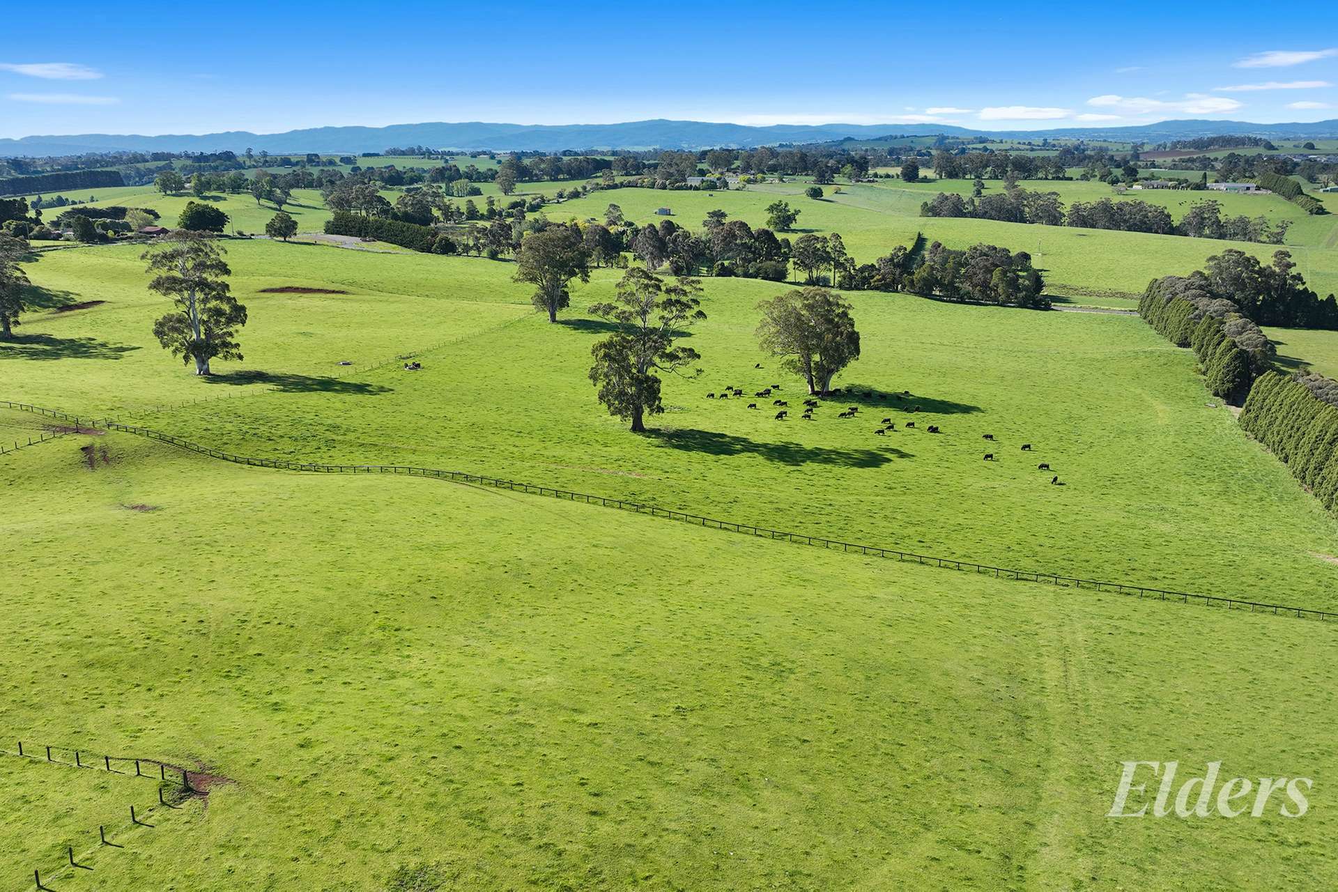 381 Warragul Lardner Road & 935 Lardners Track, Warragul For Sale by Farmbuy.com - image 19
