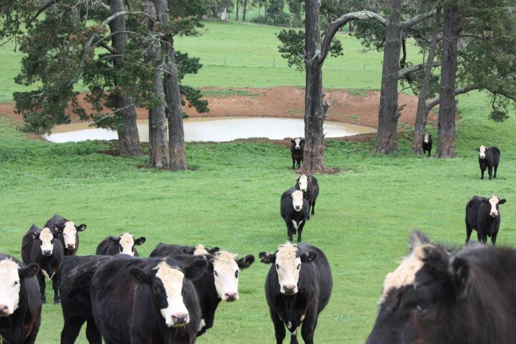 955 Lardners Track & Lot 1 East West Road, Warragul For Sale by Farmbuy.com - image 2