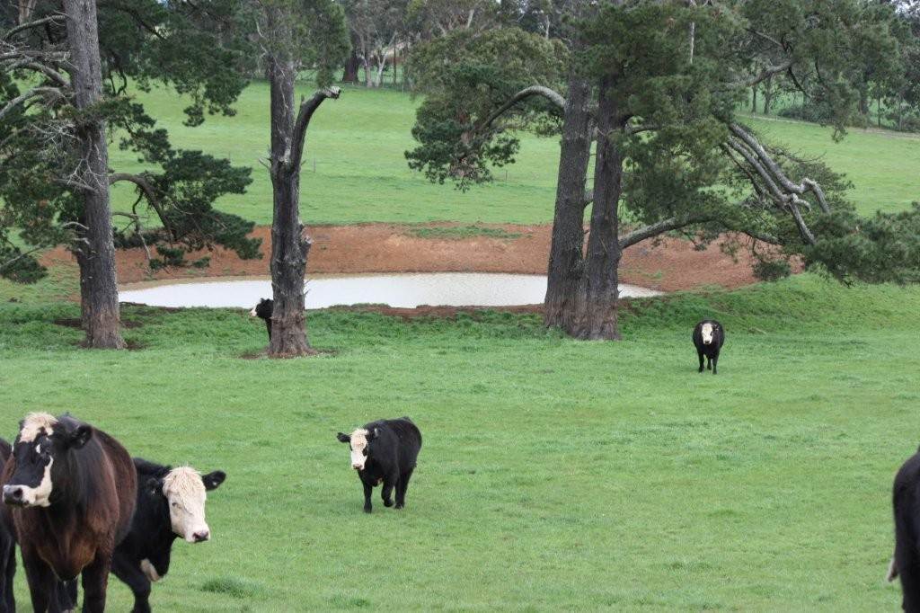 955 Lardners Track & Lot 1 East West Road, Warragul For Sale by Farmbuy.com - image 7