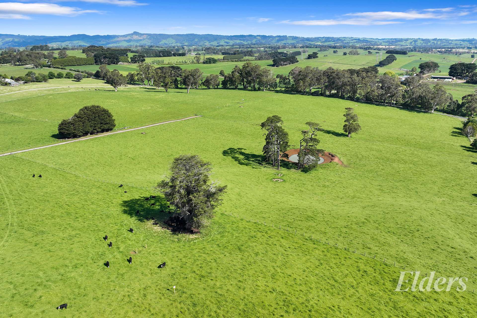 955 Lardners Track & Lot 1 East West Road, Warragul For Sale by Farmbuy.com - image 4