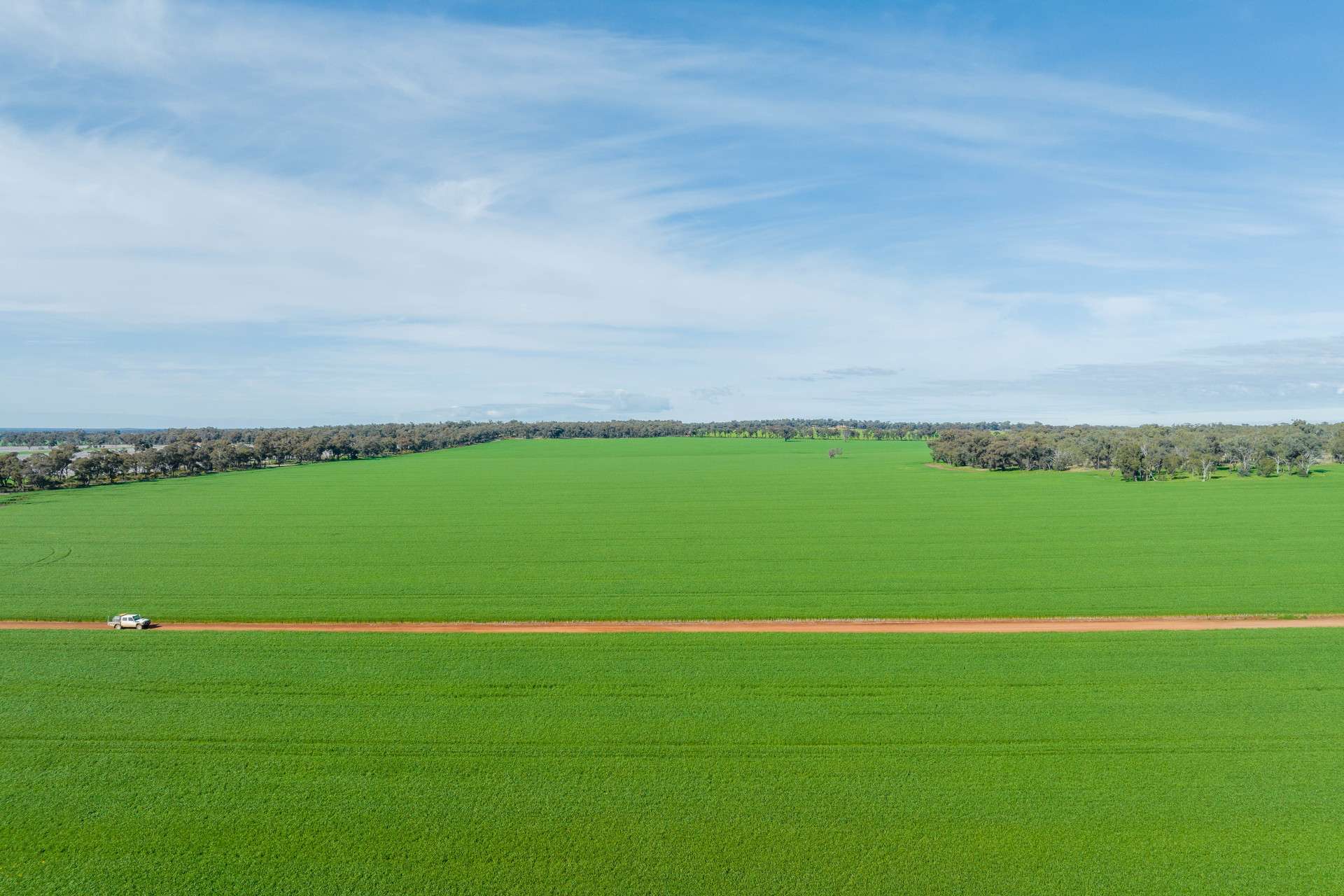 Mid Western Highway, Quandialla For Sale by Farmbuy.com - image 8