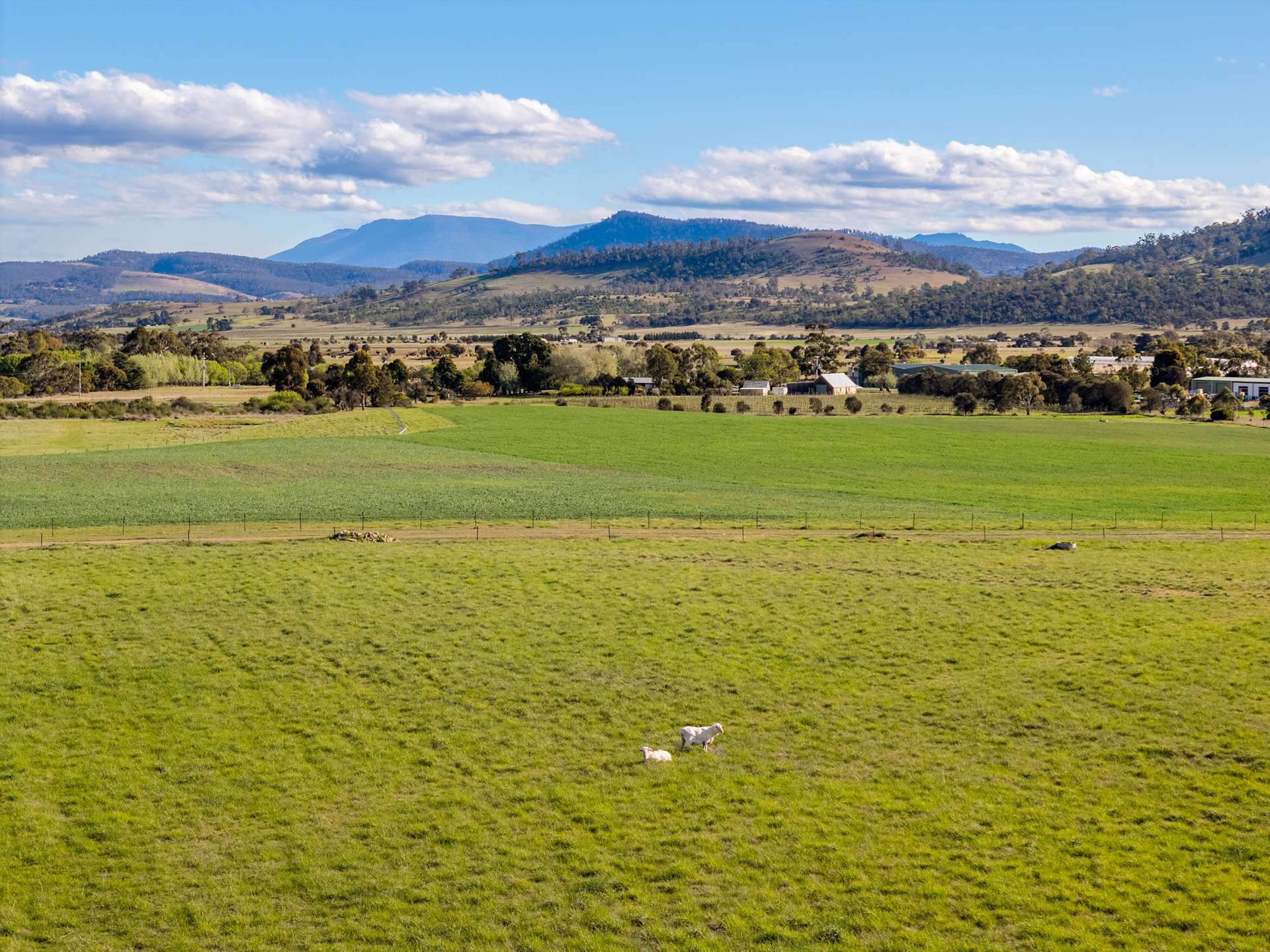 383 Prossers Road, Richmond For Sale by Farmbuy.com - image 25