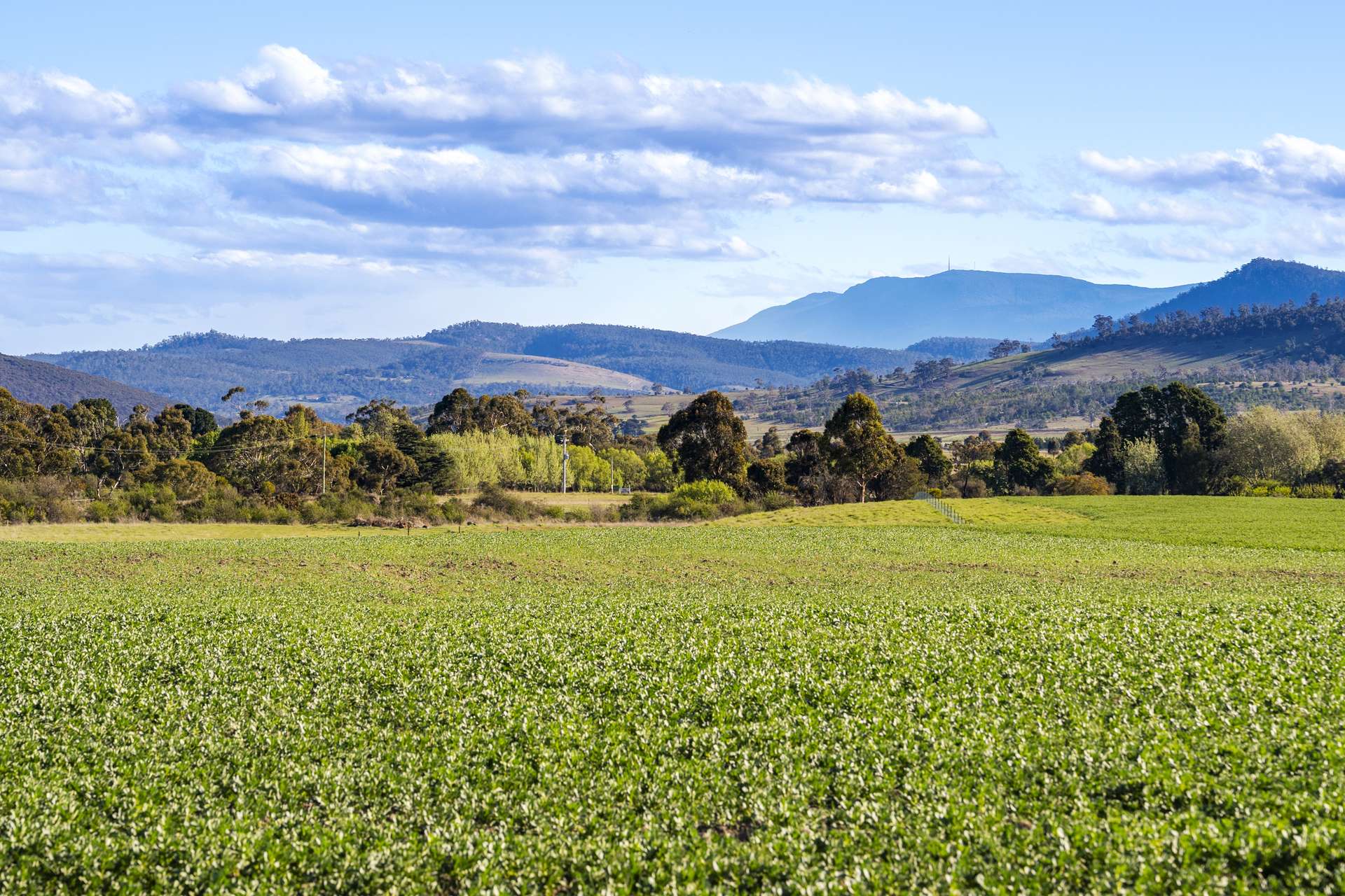 383 Prossers Road, Richmond For Sale by Farmbuy.com - image 6