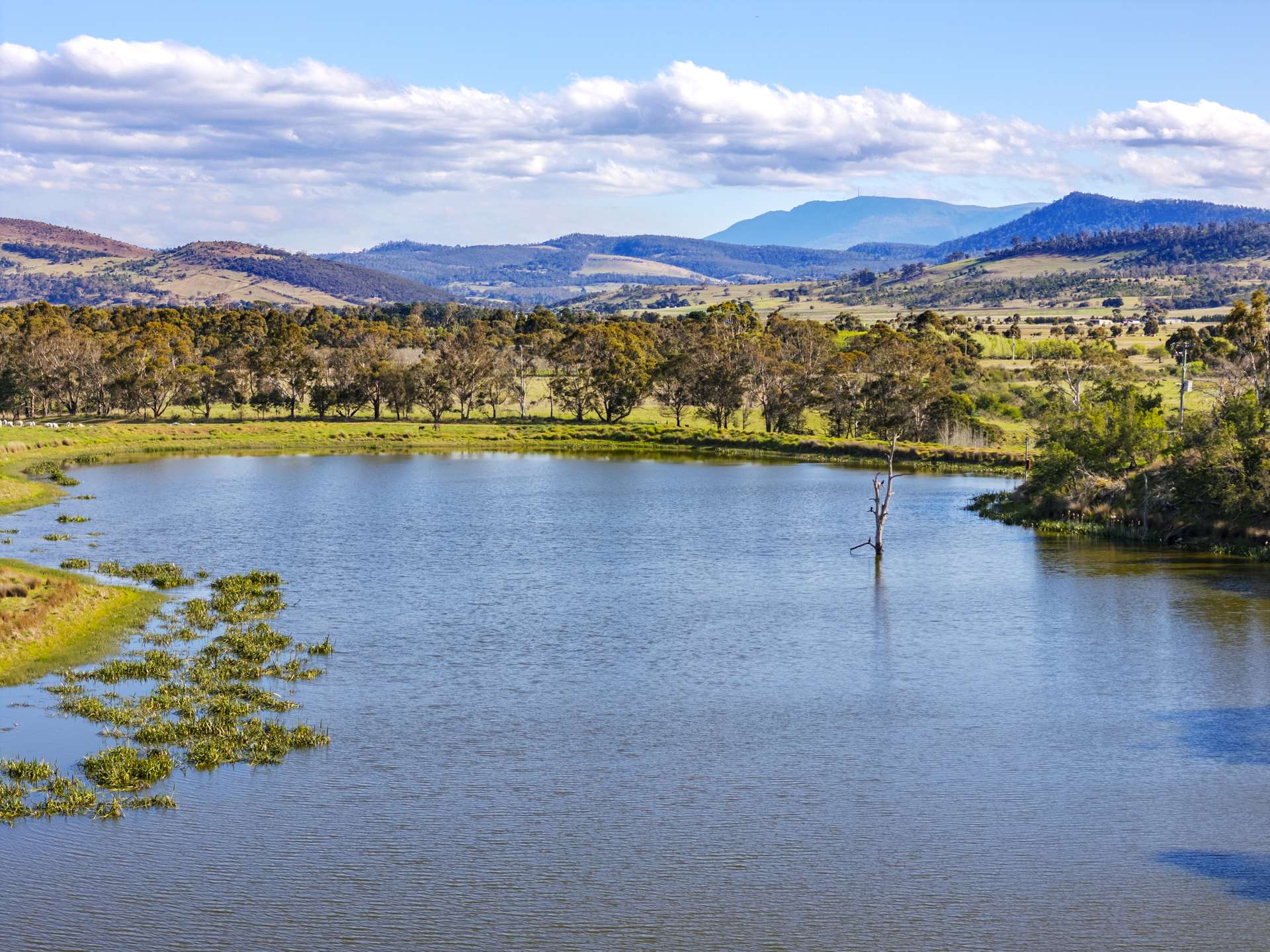 383 Prossers Road, Richmond For Sale by Farmbuy.com - image 26