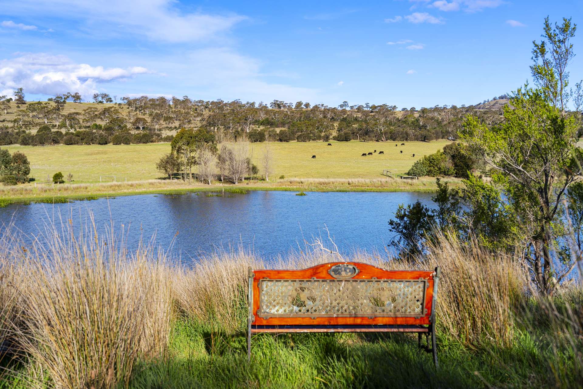 383 Prossers Road, Richmond For Sale by Farmbuy.com - image 7