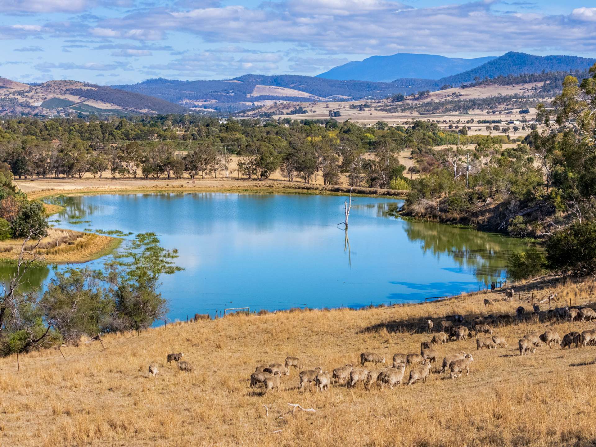 383 Prossers Road, Richmond For Sale by Farmbuy.com - image 5