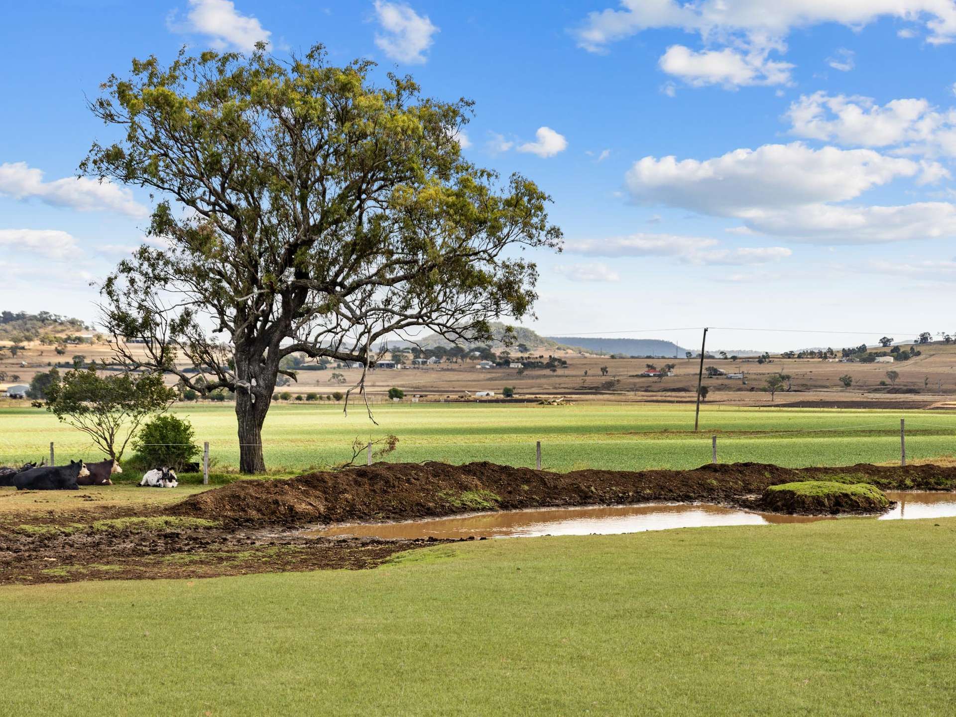 353 Allen Road, East Greenmount For Sale by Farmbuy.com - image 18