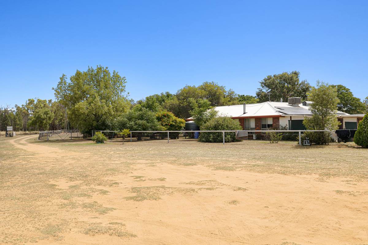 9834 Newell Highway, Narrabri For Sale by Farmbuy.com - image 19