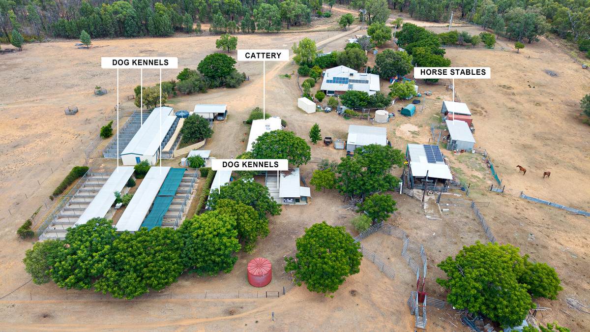9834 Newell Highway, Narrabri For Sale by Farmbuy.com - image 2