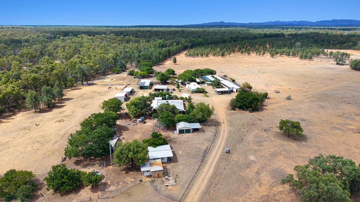 9834 Newell Highway, Narrabri For Sale by Farmbuy.com - image 18