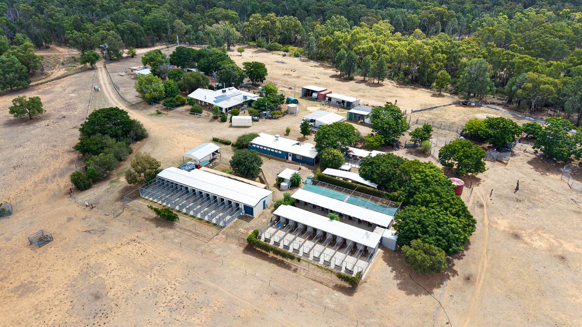 9834 Newell Highway, Narrabri For Sale by Farmbuy.com - image 3
