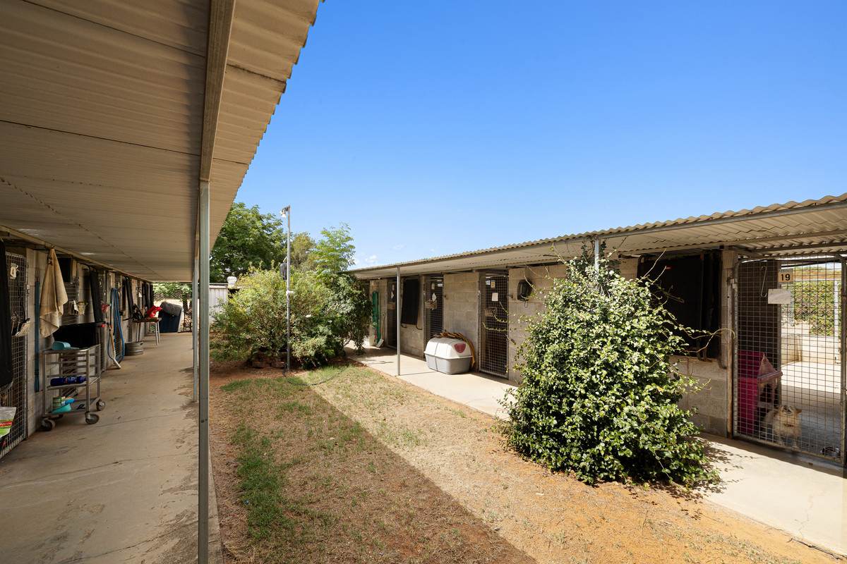 9834 Newell Highway, Narrabri For Sale by Farmbuy.com - image 13
