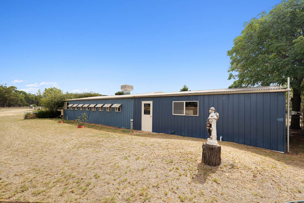 9834 Newell Highway, Narrabri For Sale by Farmbuy.com - image 17