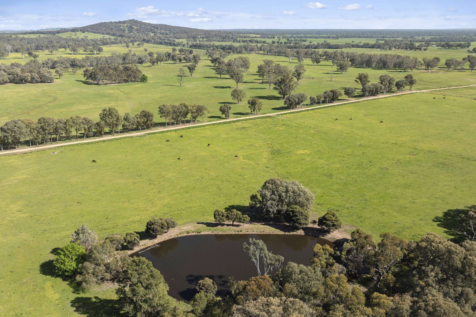 501 Knight Road, Benalla For Sale by Farmbuy.com - image 17